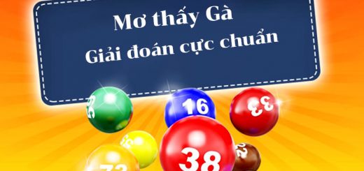 mo thay ga