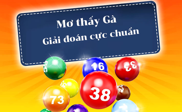mo thay ga