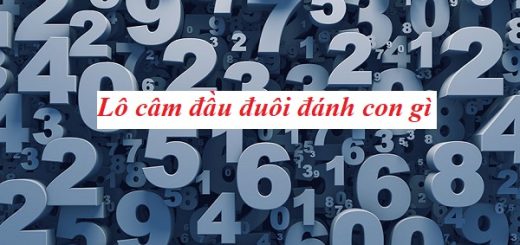 Lô câm đầu đuôi nên đánh con gì cho dễ trúng, lãi cao